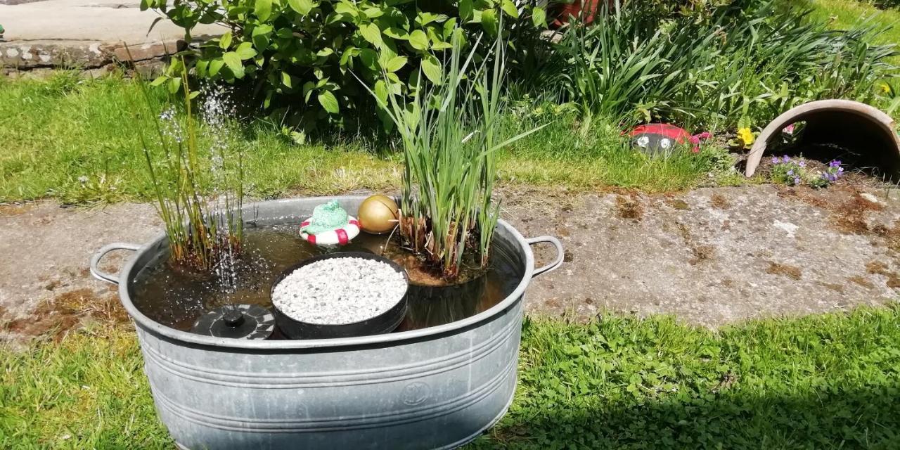 Ferienwohnung Baensch Weischlitz Luaran gambar